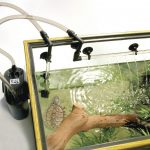 Обеспечение качества воды в аквариуме. Как это сделать правильно