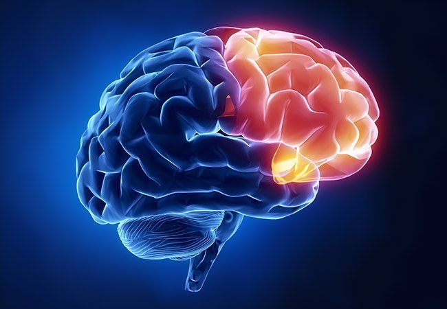 О здоровье и развитии мозга