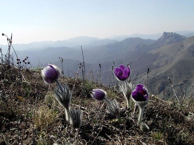 crimean-nature