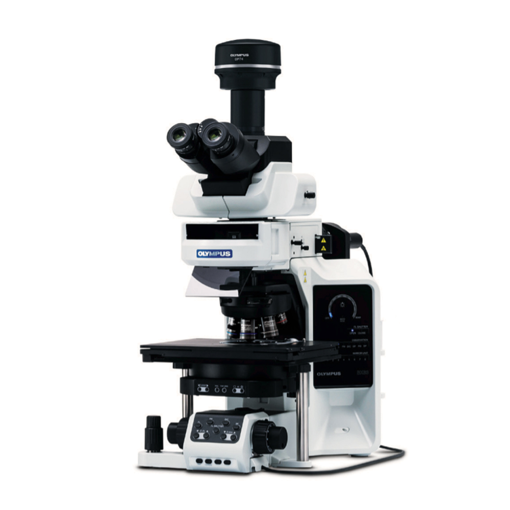 Микроскоп Olympus BX63: краткий обзор