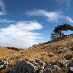 Поход к Демерджи — отдыхаем в Крыму активно