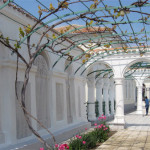 Караимы и караимские кенасы Крыма