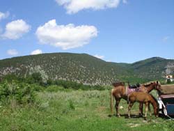 Байдарская долина