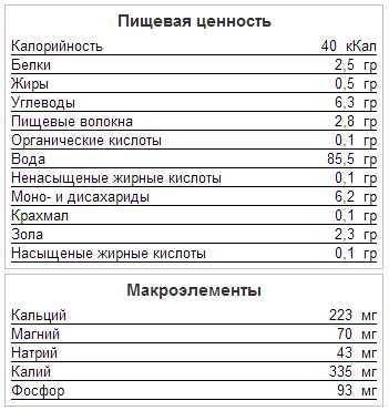 Агротехника и технология выращивания укропа в теплице