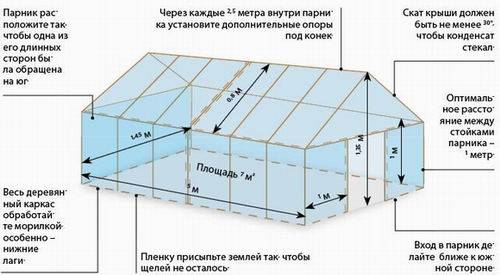 Два способа выращивания вешенок на даче