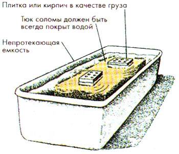 Два способа выращивания вешенок на даче