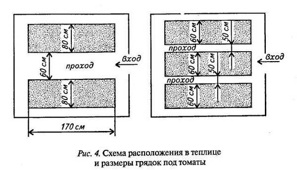 Как формировать детерминантные помидоры в теплице