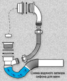 Как поменять сифон в ванной?