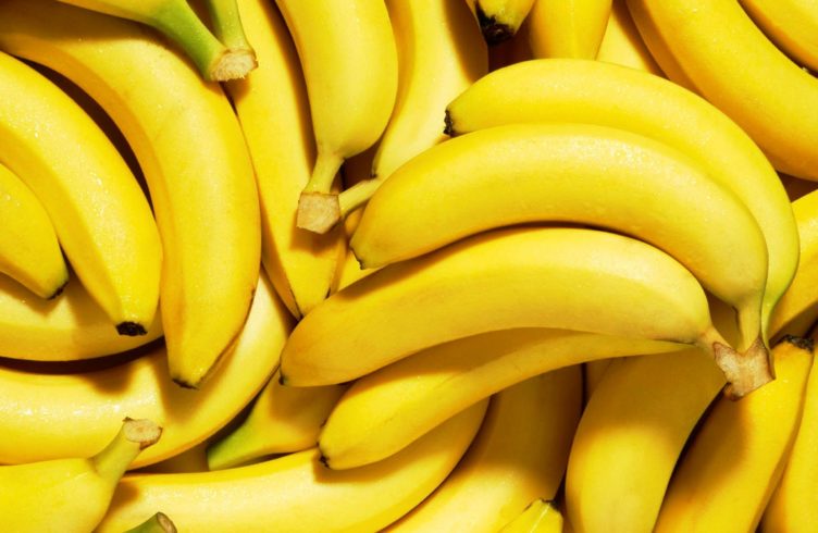 Как вырастить банан в домашних условиях из банана – подробное описание