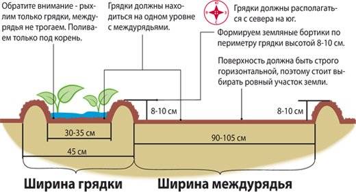 Посадка капусты по Митлайдеру