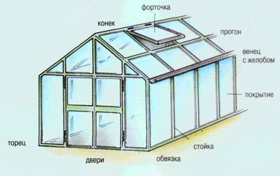 Способы выращивания ананасов в домашней теплице