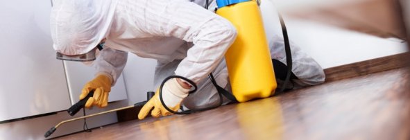 Обустройство офисных помещений