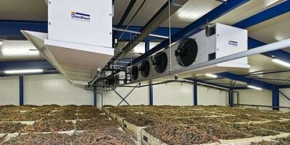 Овощехранилище – температурные условия и система хранения