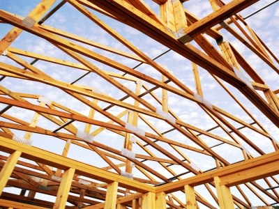 Бизнес идея: строительство деревянных домов