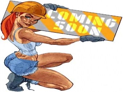 Бизнес идея: строительство садовых домиков