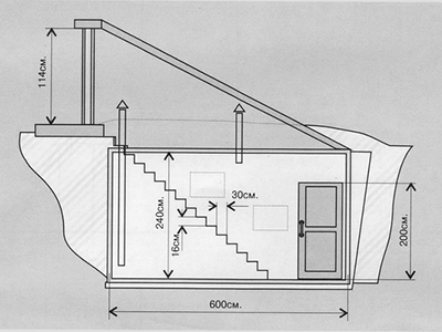 Наружный вход в подвал 
