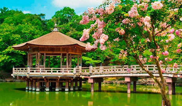 Японская беседка – пагода