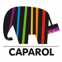 Официальный интернет магазин красок Caparol