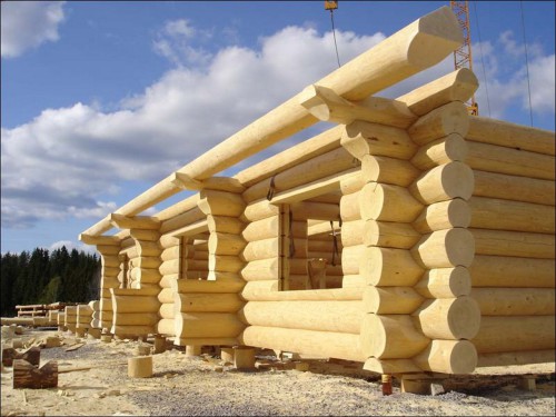 Хорошая древесина – основа крепкого дома