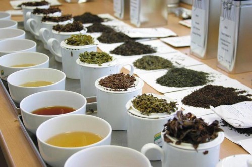 Какие бывают разновидности чая?