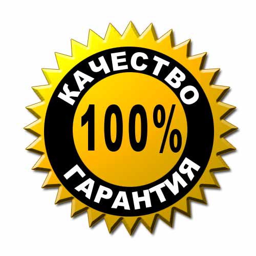Сертификат на знание русского языка. Особенности