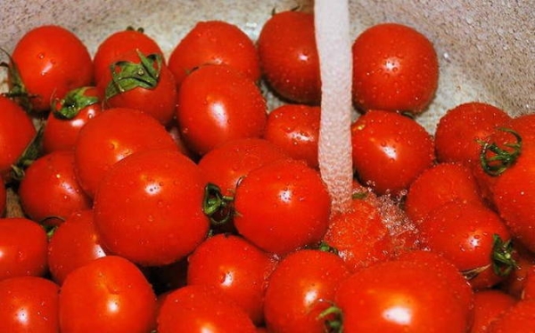 Консервированные помидоры на зиму