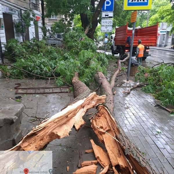Ночной ливень не прошёл для Севастополя бесследно