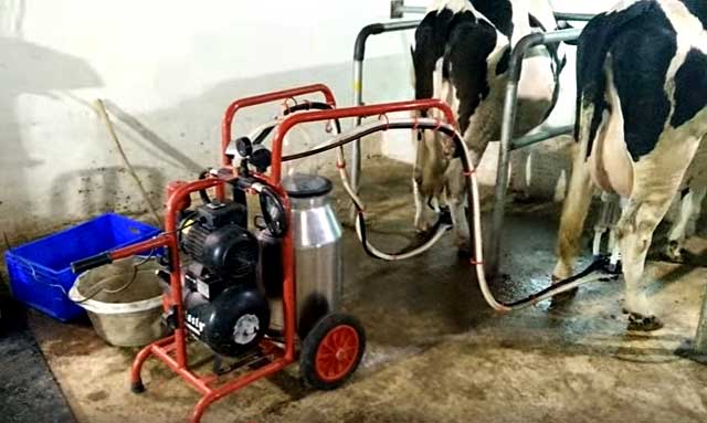 Доильный аппарат для коров: характеристики установки