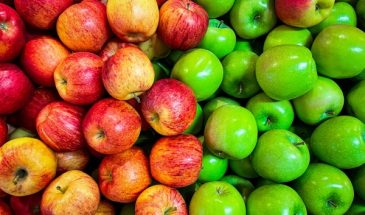 Только не в холодильнике – как сохранить яблоки на зиму