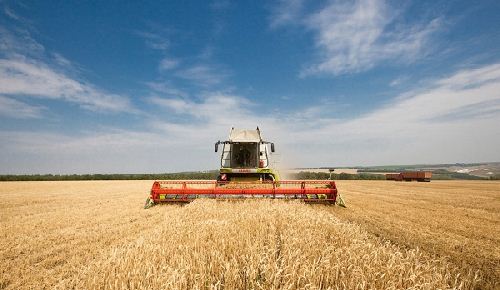 Современная агрономия — урожай и его продажа