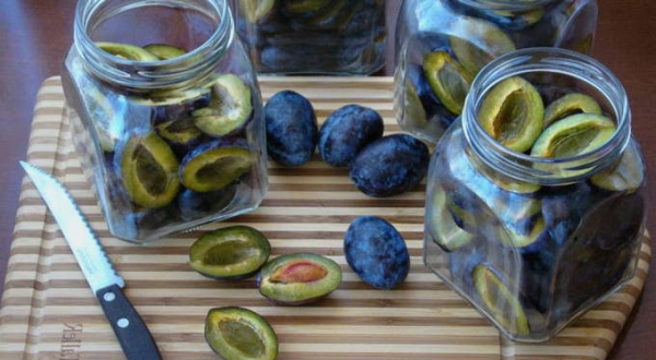 Маринованные сливы на зиму