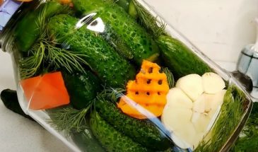Через 2 часа подаю к столу. Вкусные малосольные огурцы: все гости просили рецепт