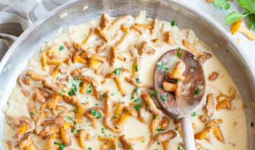 Лисички в сметане – как избежать главных ошибок в приготовлении