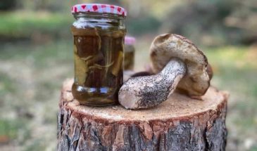 Белые маринованные грибы – лучшая закуска на зиму