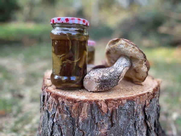Белые маринованные грибы – лучшая закуска на зиму