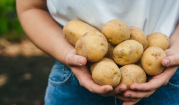 Не есть после 30: диетолог составила список продуктов, которые ускоряют старение