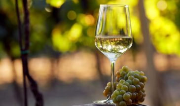 Домашнее вино из белого винограда, которое станет звездой застолья