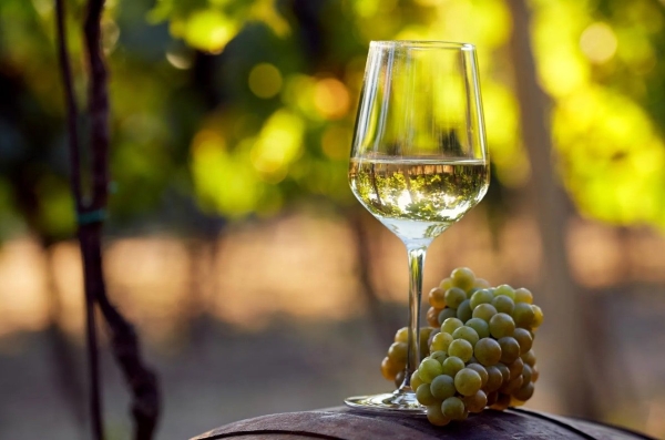 Домашнее вино из белого винограда, которое станет звездой застолья