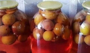 Компот из слив на зиму: рецепт напитка, который полюбят даже дети