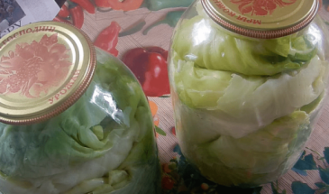 Маринованные листья капусты: рецепт заготовки для голубцов на зиму