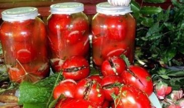 Квашеные острые помидоры на зиму: рецепт пикантной и полезной закуски