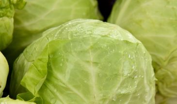 Не только квашеная: что сделать из капусты на зиму