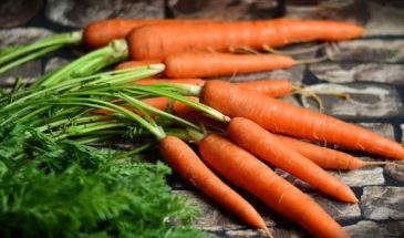 Никакого холодильника: как правильно хранить морковь – совет от ученых