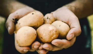 Самый вкусный гарнир, который вы могли пробовать: готовим молодой картофель в сметане с чесноком