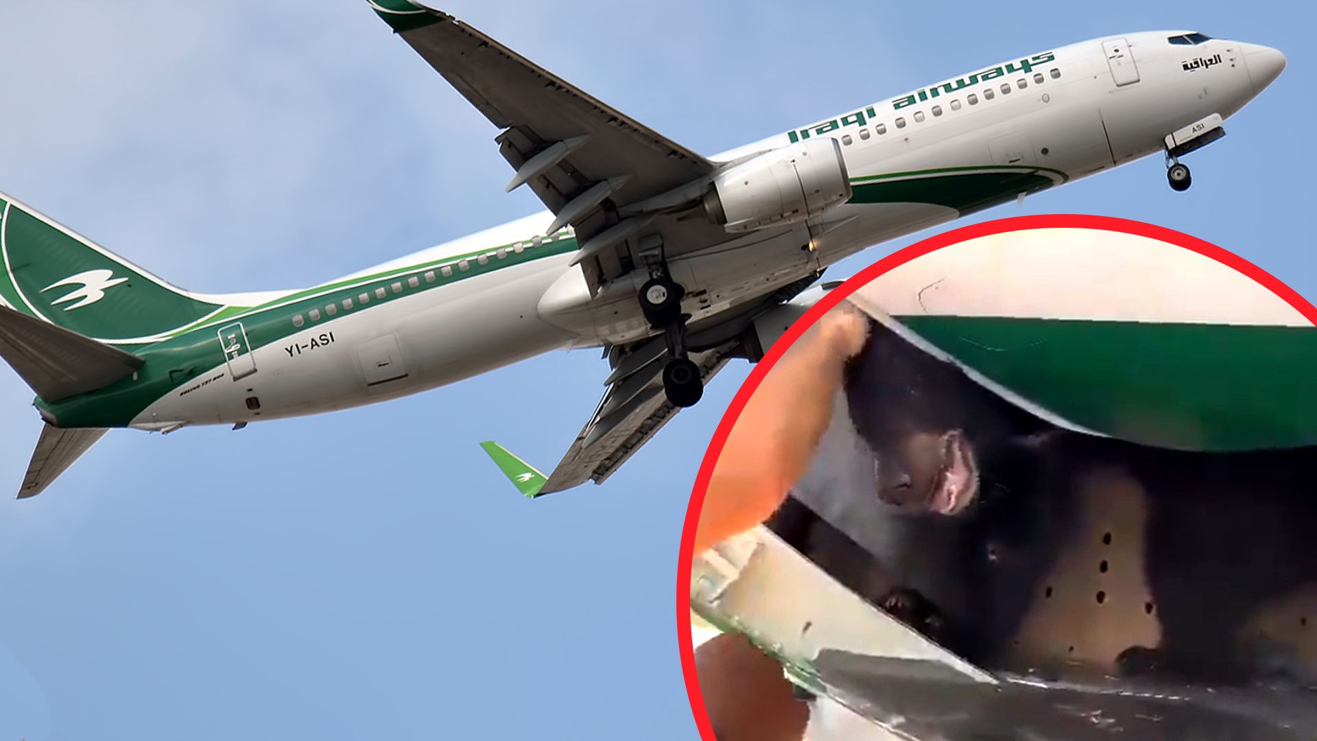 В аэропорту Дубая из грузового отсека самолета сбежал медведь