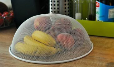 Найден способ избавления от плодовых мушек: насекомые исчезнут с кухни и не вернутся