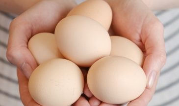Врач порекомендовала каждый день есть скорлупу: зачем?