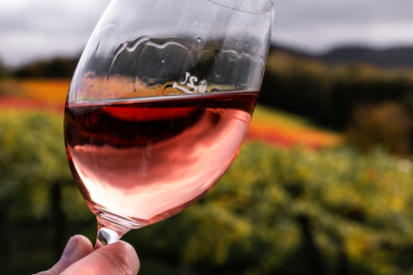 Не кислое и душистое: каких ошибок нужно избегать во время приготовления домашнего розового вина