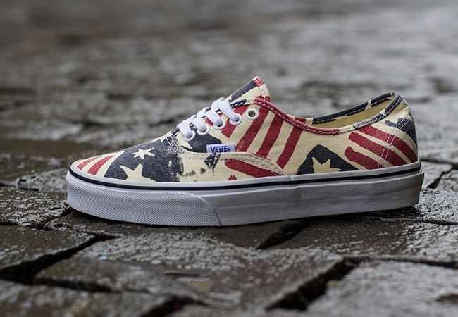 В чем ходить в ближайшую весну? Виды и особенности Vans