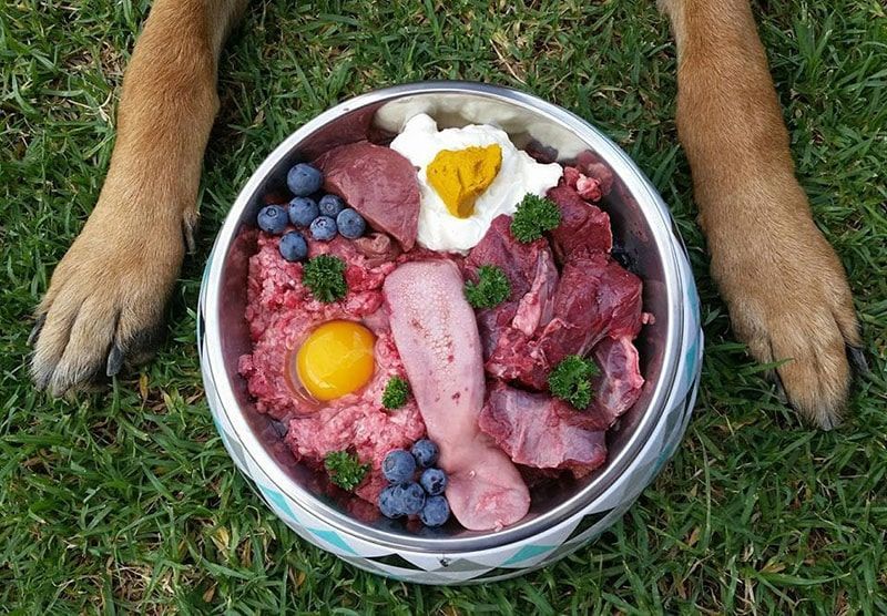Натуральный корм для собак: Здоровое питание и благополучие